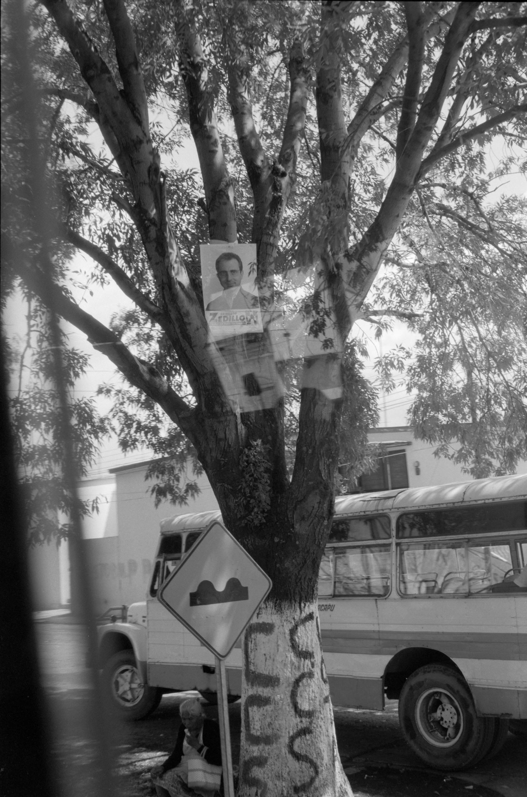 AHP FilmScan 240807 0457